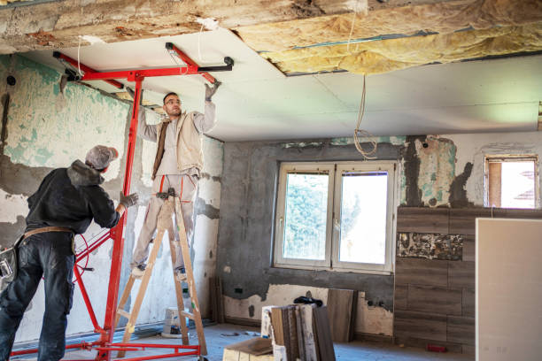 Best Insulation Installation Services in Eaton Rapids, MI